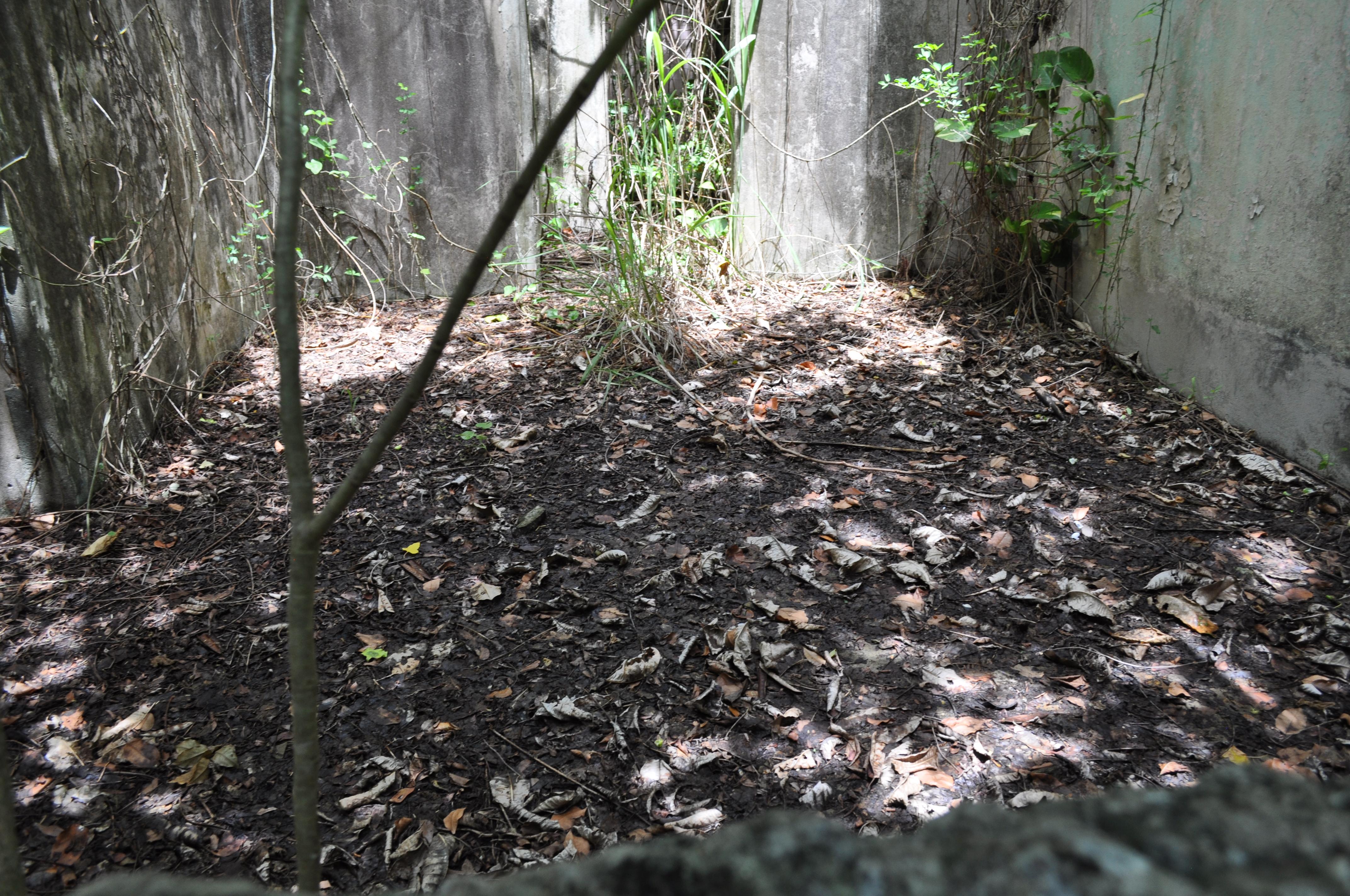 Antigua Lechería y Residencia de la Facultad de la Universidad de Puerto Rico - San Juan (Río Piedras) - 2014 00008